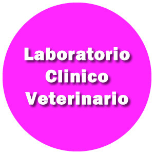 Laboratorio Clinico Veterinario