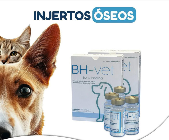 BH - Vet Injerto Oseo Talla M,  Caja 1 vial x 2 gr