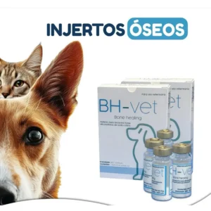 BH - Vet Injerto Oseo Talla M,  Caja 1 vial x 2 gr
