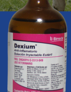 Dexium (Dexametasona 2%) Frasco x 100 ML
