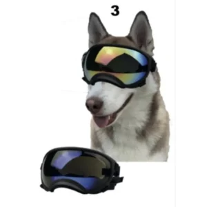 Gafas Protectoras Para Perros Talla L con filtro UV
