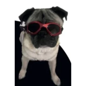 Gafas Protectoras Para Perros Talla S con filtro UV