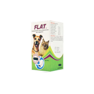 FLATUS x 60 Capsulas