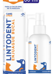 Lintodent Enjuague Bucal x 60 ml