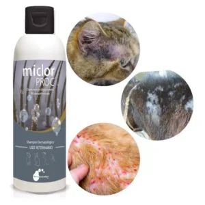 Peroxyproc Shampoo x 500 ML